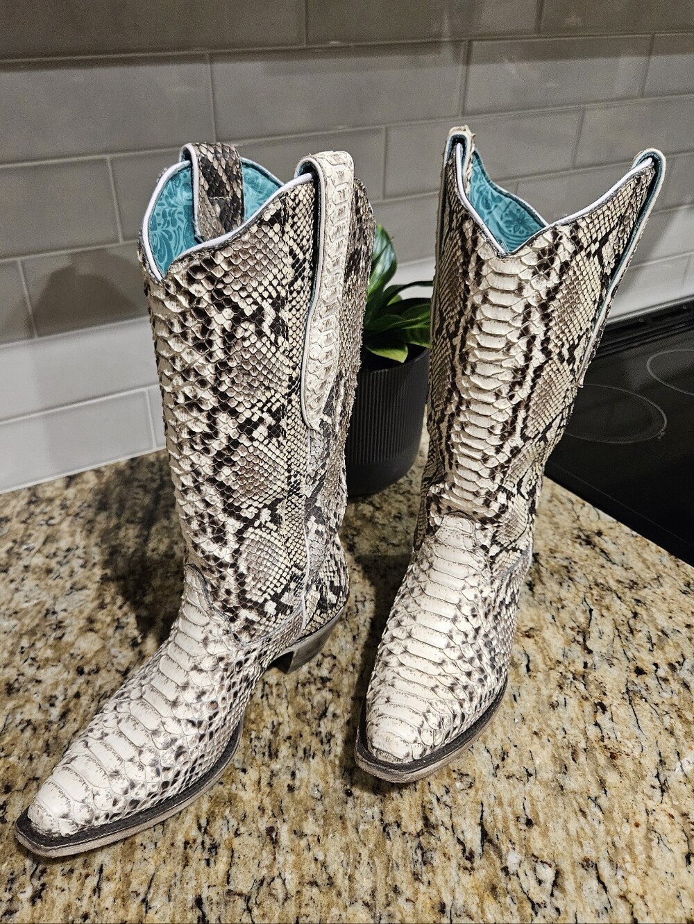 Corral Women's Natural Exotic Python Boots-Snip Toe, 7 1/2